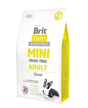 BRIT CARE MINI GF ADULT LAMB 2kg