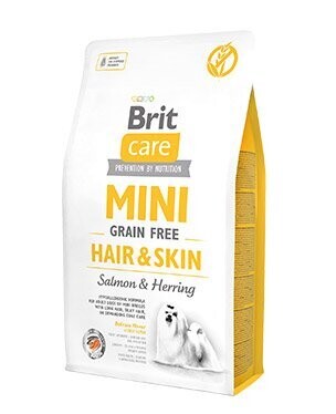 BRIT CARE MINI GF HAIR & SKIN 2kg