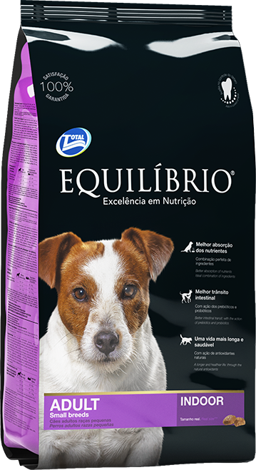 Equilibrio puppies small clearance breeds
