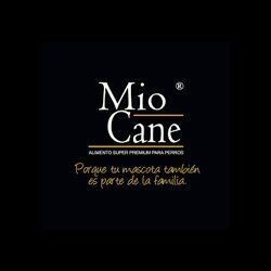 Mio Cane