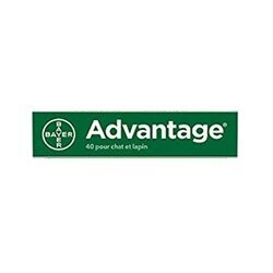 Advantage