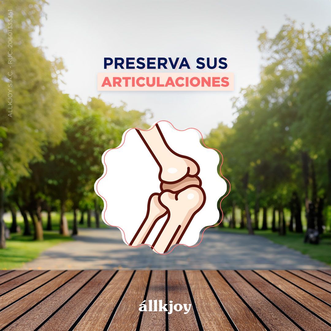 Allkjoy senior de 15kg