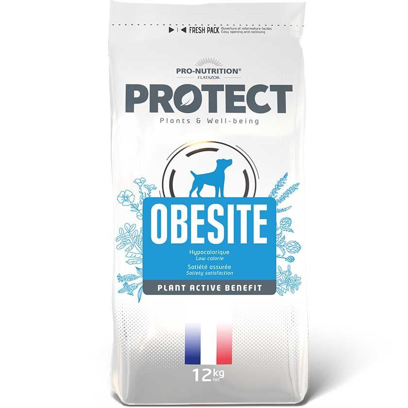 PROTECT OBESITE PERROS 12KG