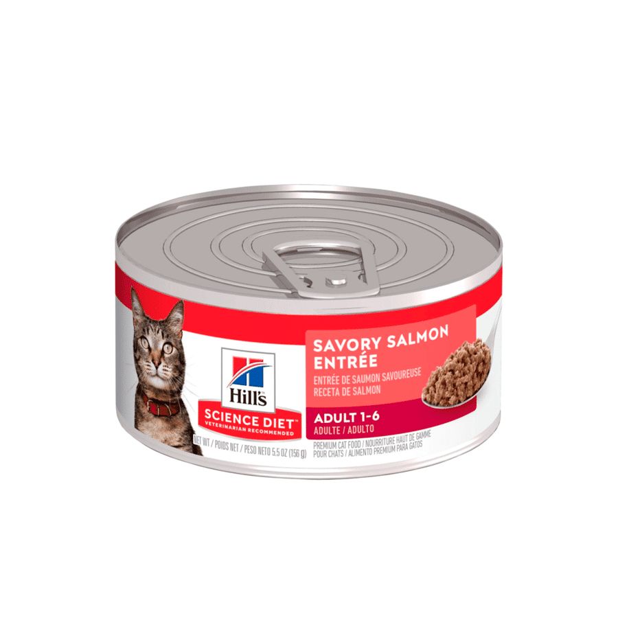 Hills Feline Adult salmón 5.5 oz de 156g