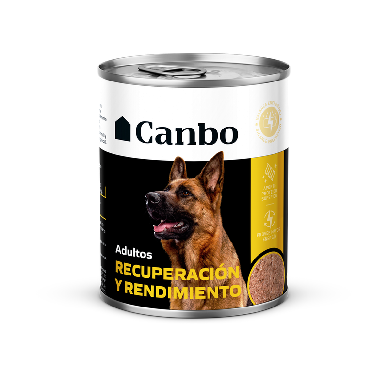 canbo recuperación y rendimiento 330gr