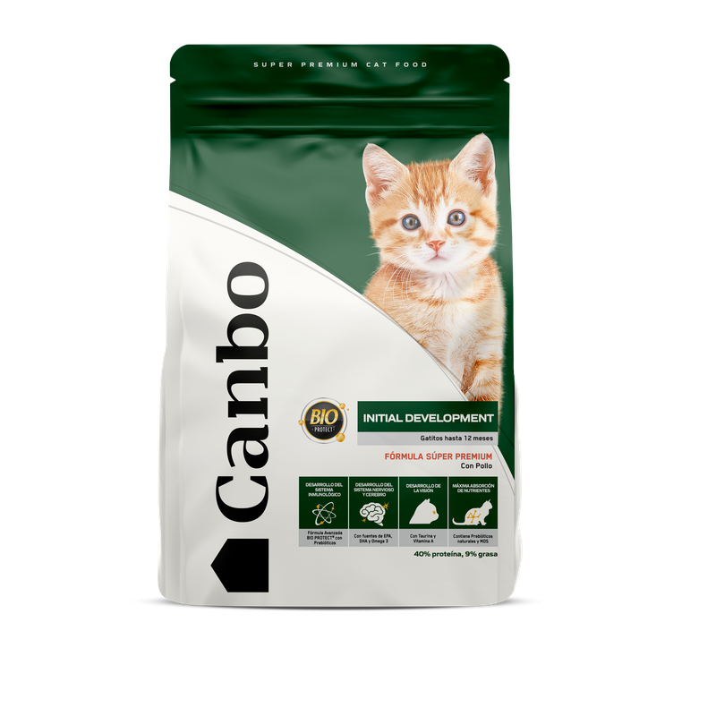 Canbo Gatitos Desarrollo Inicial