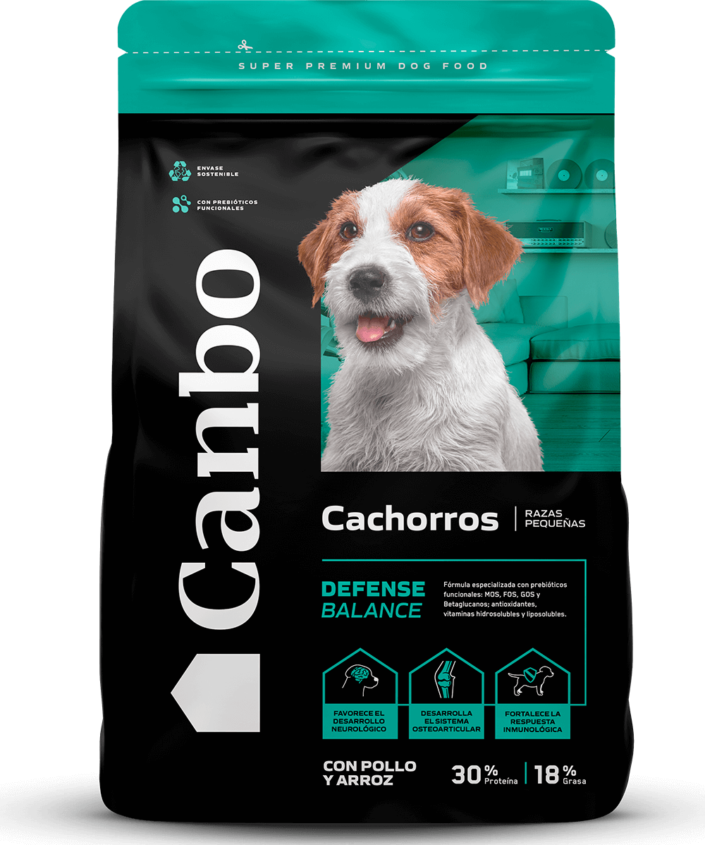 Canbo Cachorros de 7kg