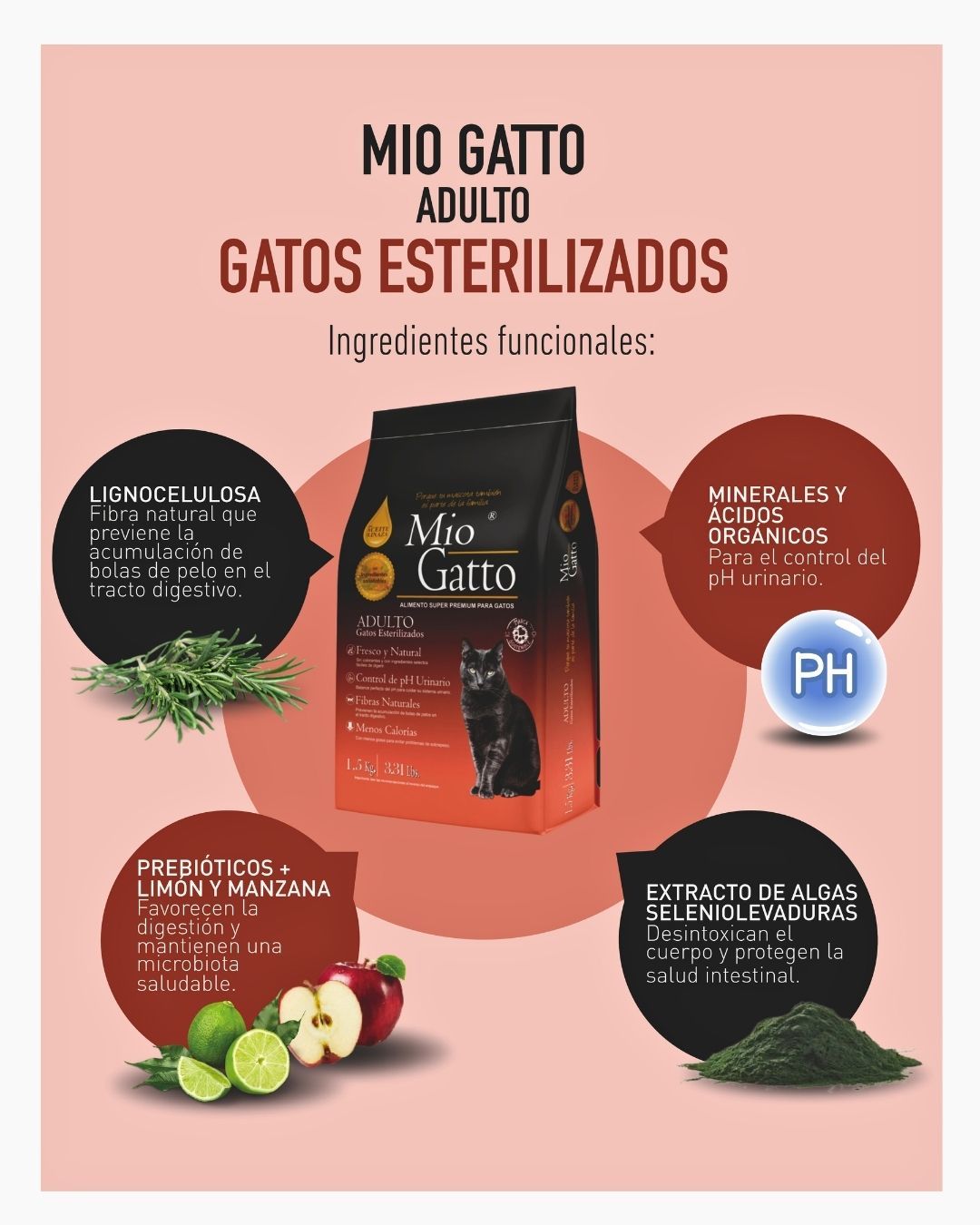 Mio gatto de 7kg Mio gatto de 7kg