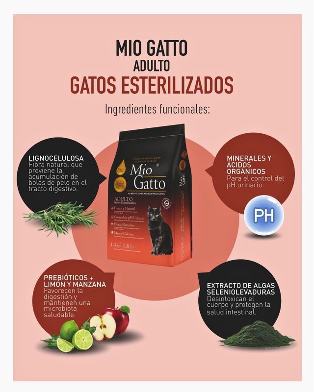 Mio gatto de 7kg Mio gatto de 7kg
