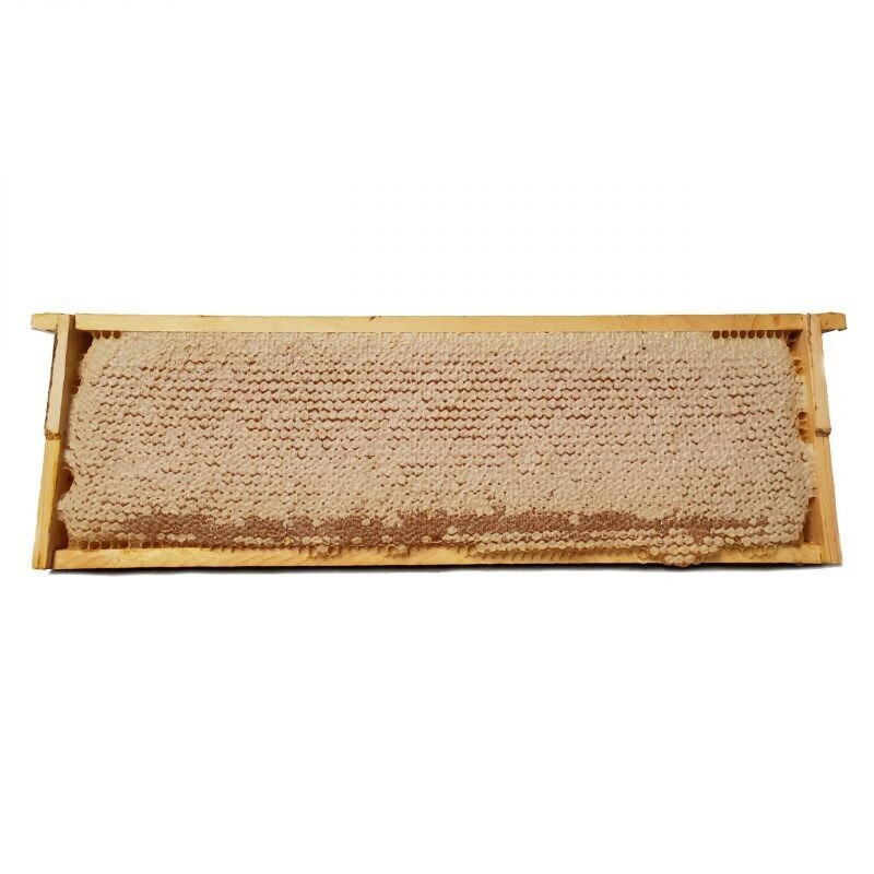 Whole Wooden Honeycomb Frame