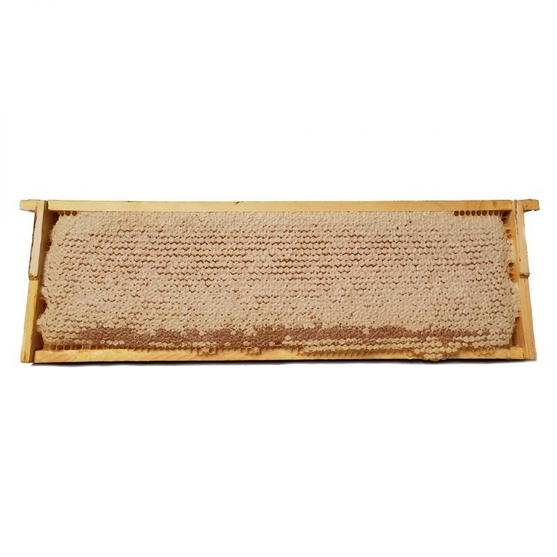Whole Wooden Honeycomb Frames (Case)