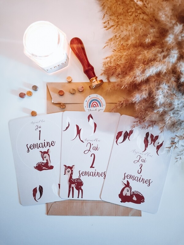 Cartes de naissance BAMBI