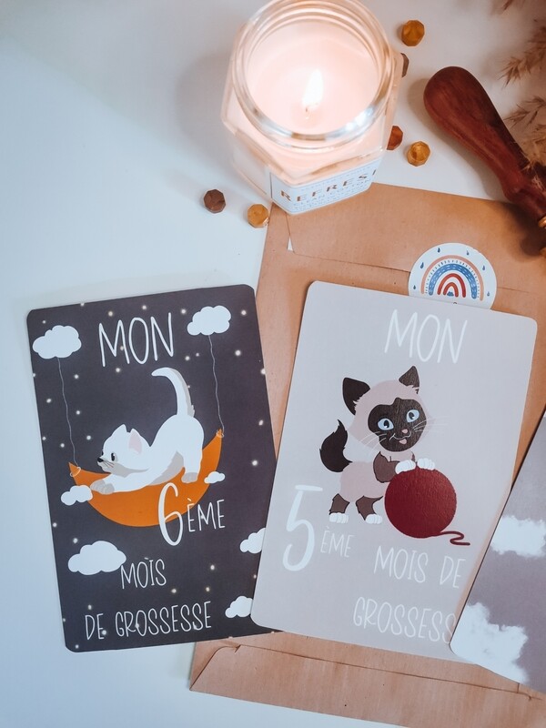 Carte de grossesse chat 🐈