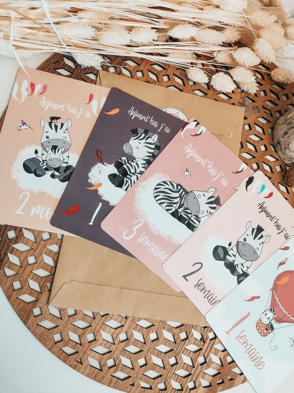 Cartes de naissance zèbre 🦓