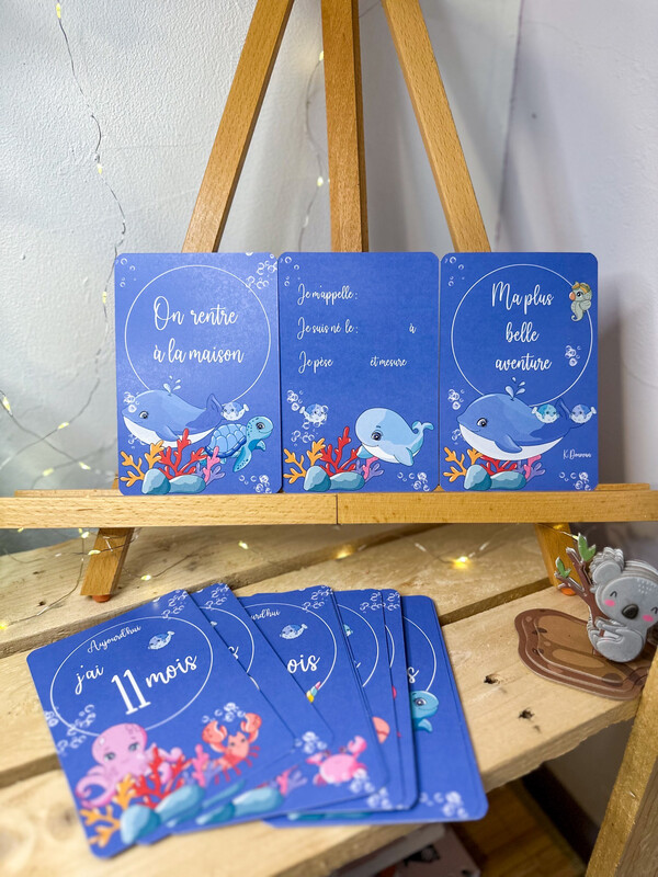 Lot de naissance thème mer 🪼🐙🐳