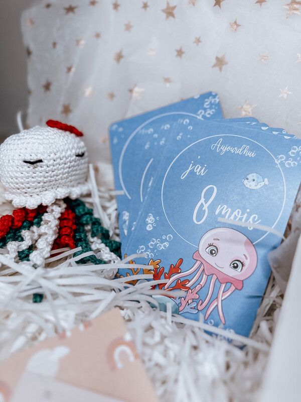 Box de naissance cartes &amp; Poolpy 🐙
