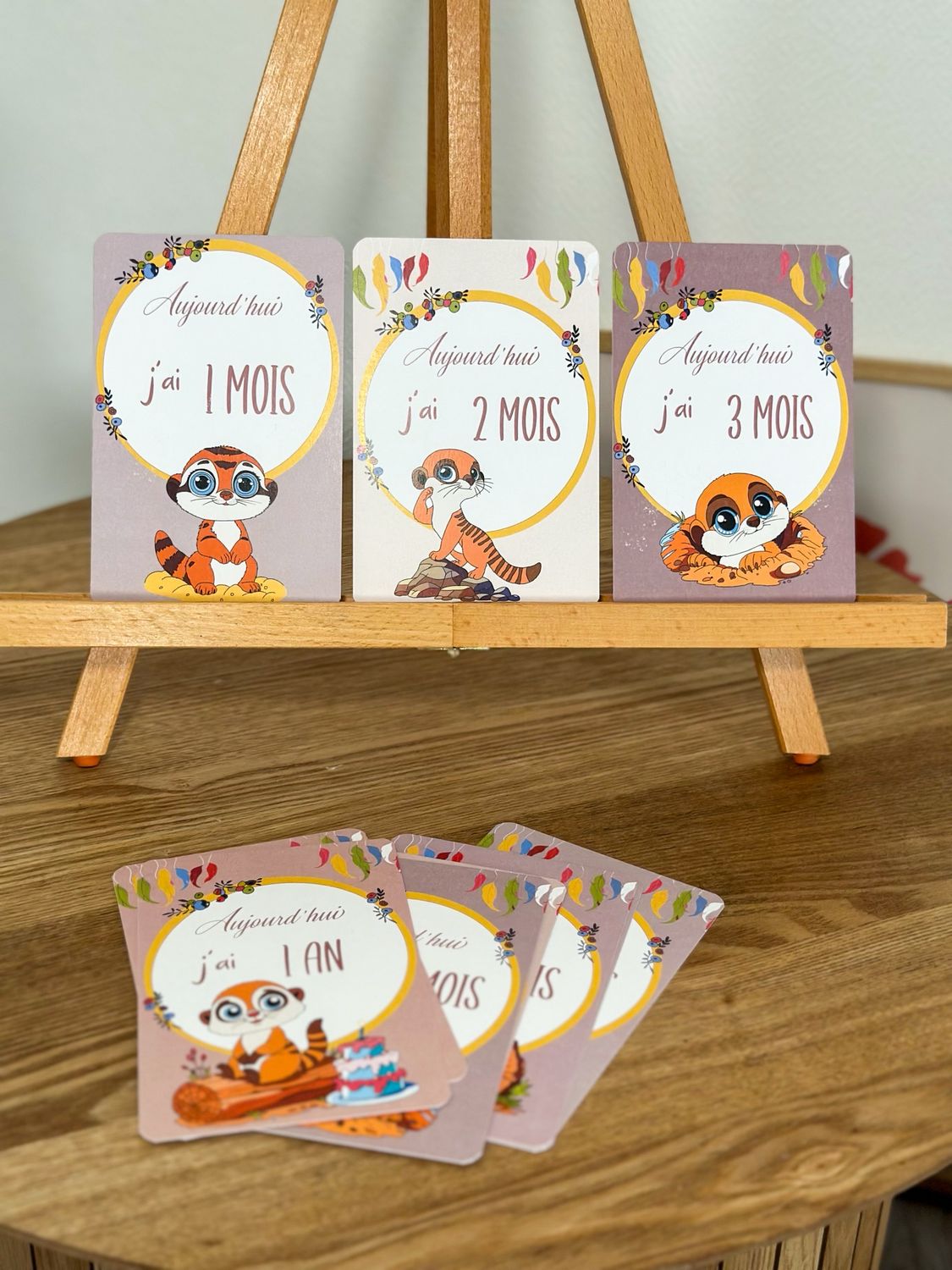 Cartes suricate
