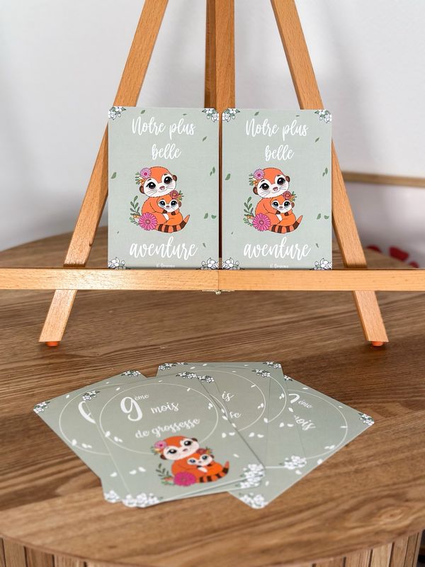 Cartes grossesse suricate