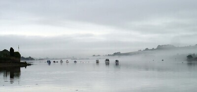 Boats in the mist