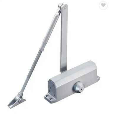Cierrapuertas automático de 80-100kg kg para sistema de control de acceso