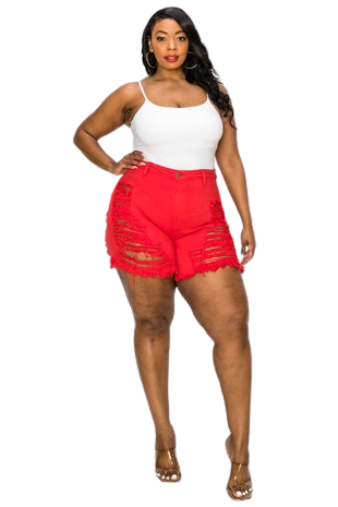 DISTRESSED SHORTS