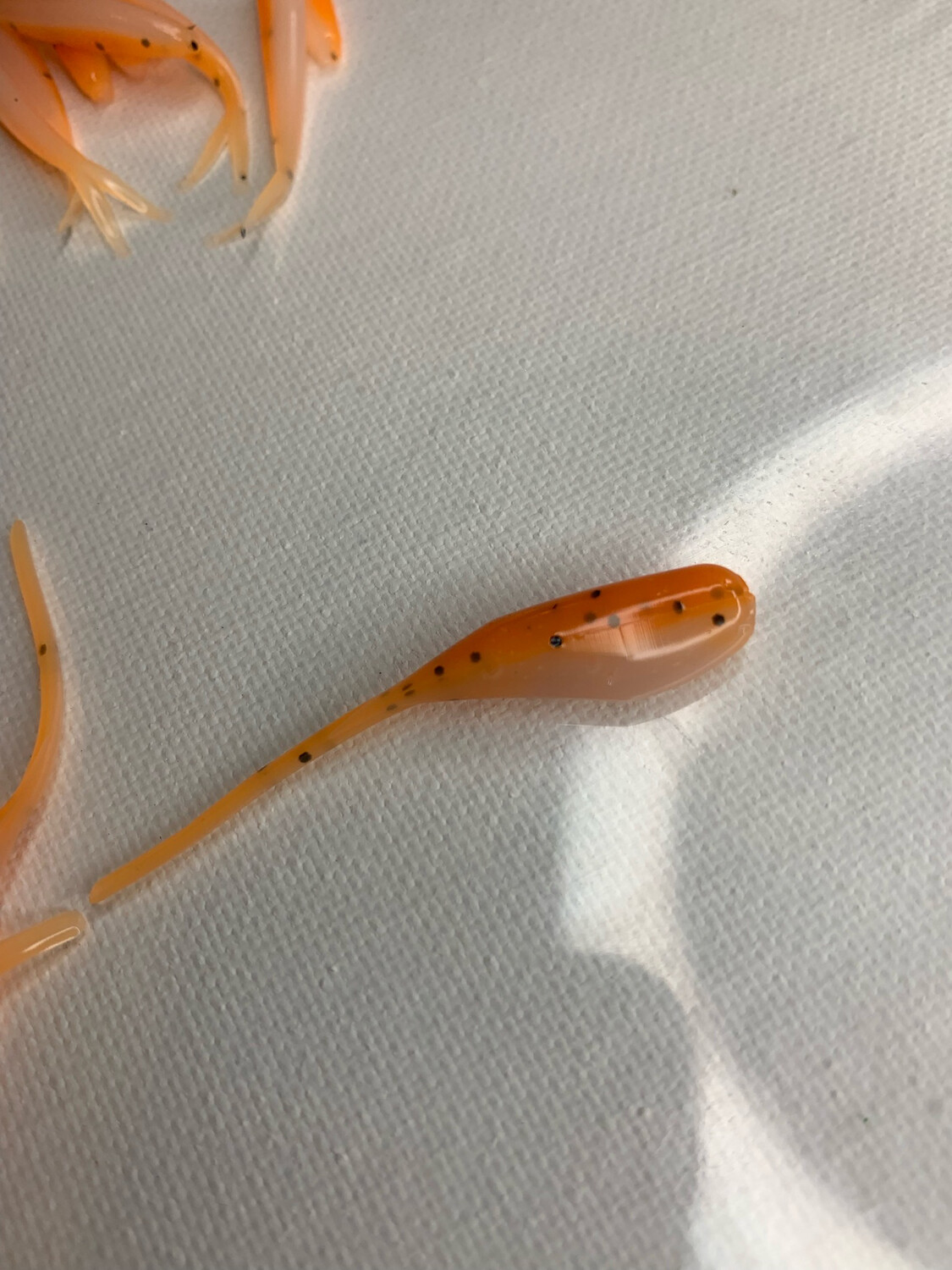 Tiger Shad (2 Inch)