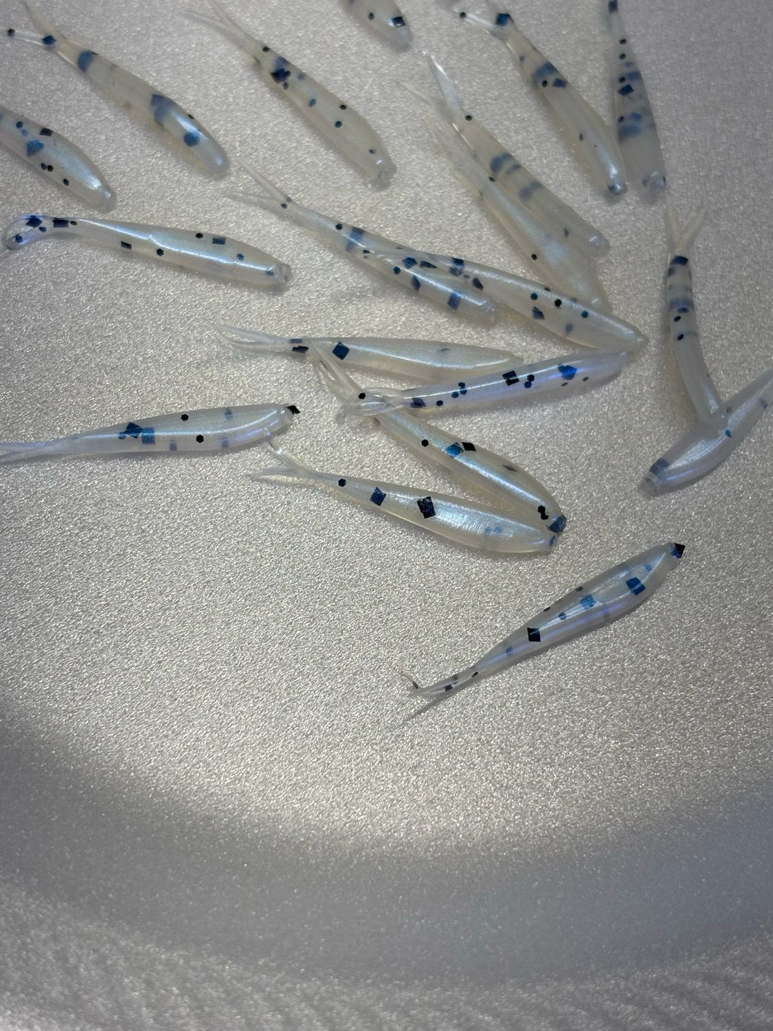 Lil Pearl Pepper (1.5 Inch Split Tails)