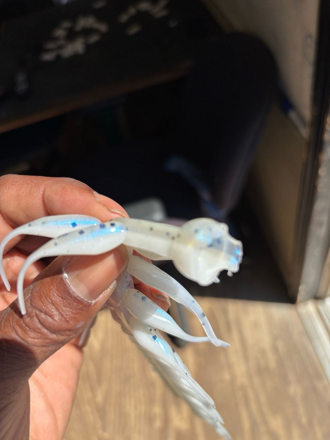 Sugar Shad