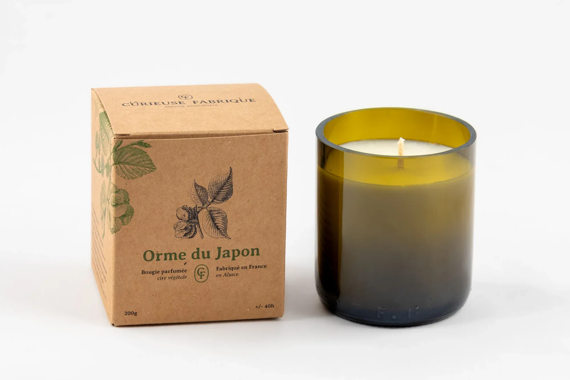 BOUGIE PARFUMÉE - ORME DU JAPON