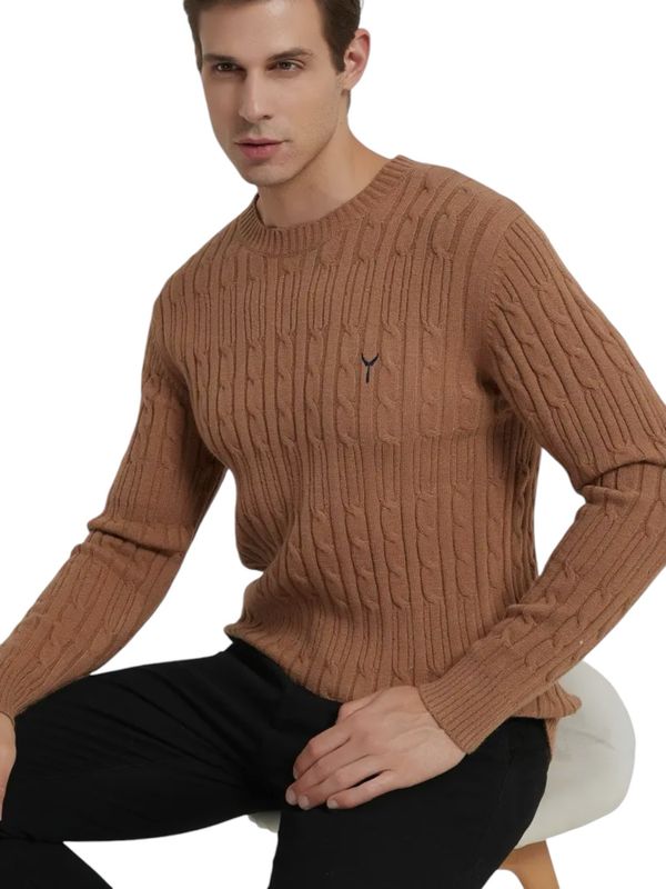 Pull homme