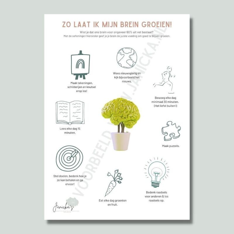 Informatieplaat: Groei brein