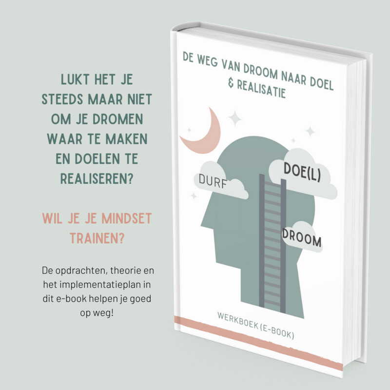 E-book: Droom, Durf, Doe(l)