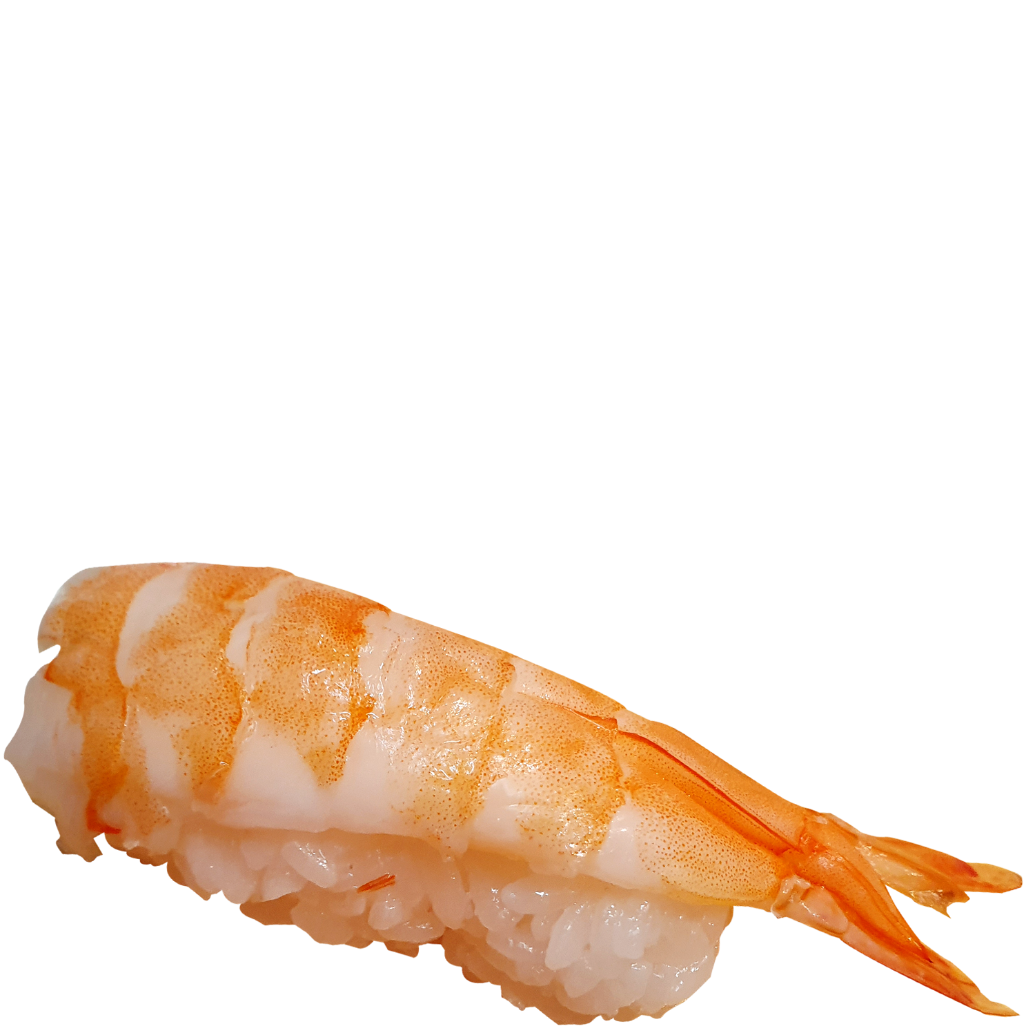 Ebi Nigiri (d)