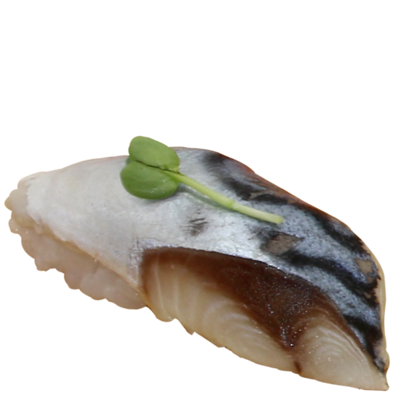 Saba Nigiri (f)