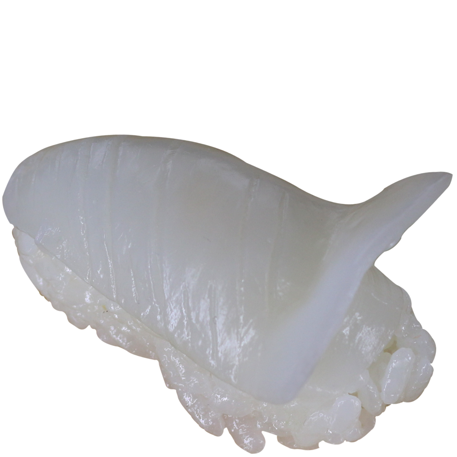 Ika Nigiri (f)