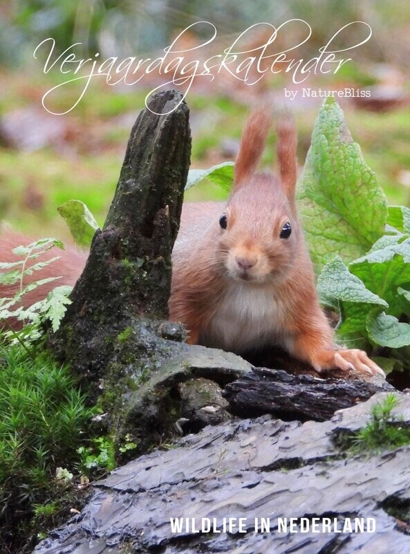 Verjaardagskalender Wildlife