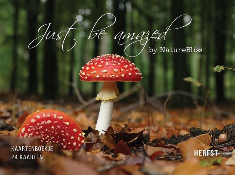 Ansichtkaartenboekje Herfst