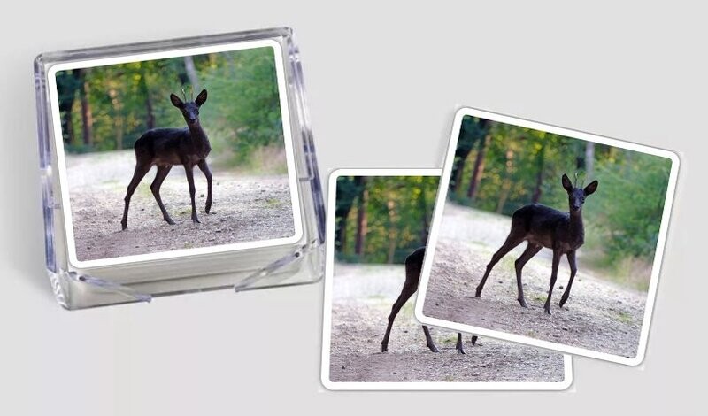 Onderzetter - Zwarte Reebok - 6 stuks