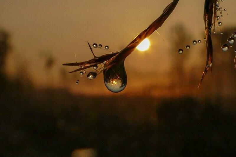 Drop in morning light