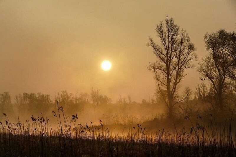 Sunrise OVP