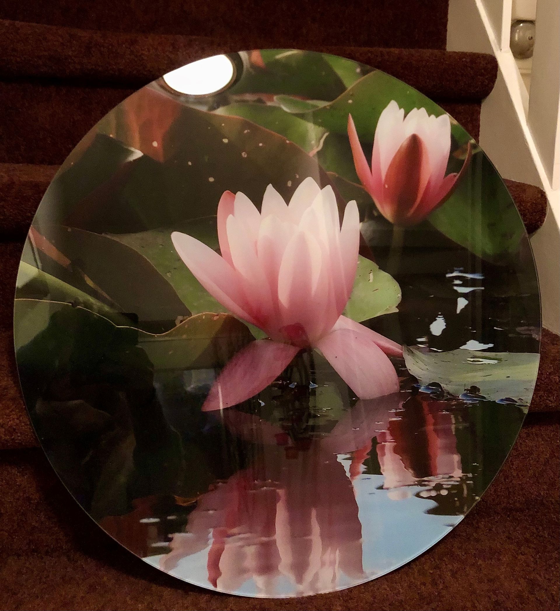 Wandcirkel Waterlelie