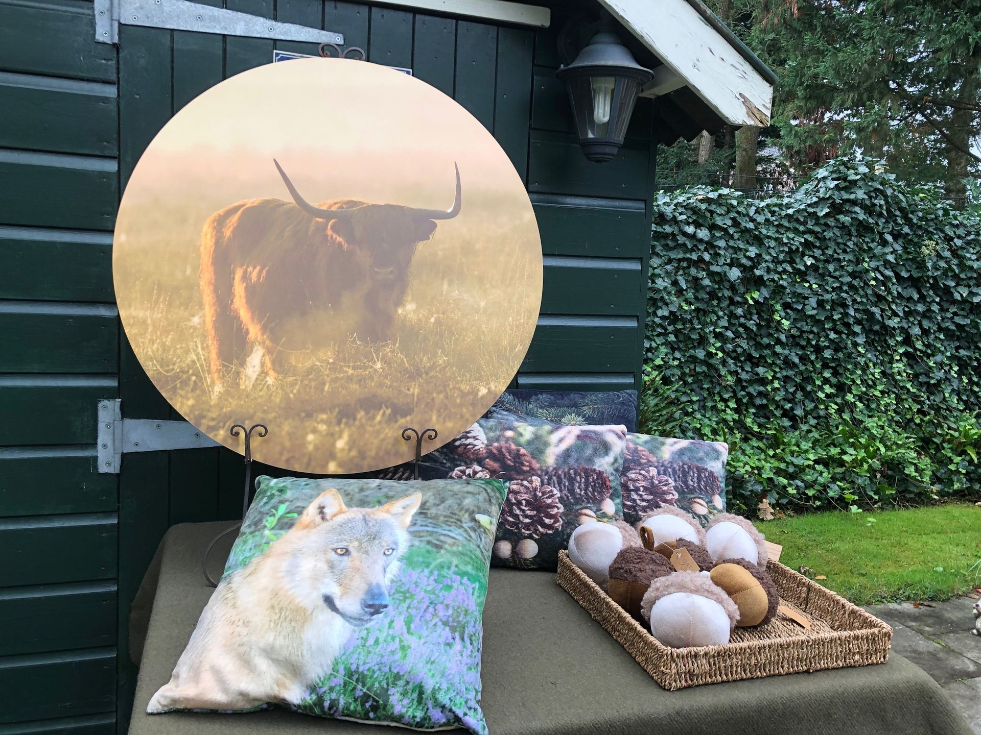 Wandcirkel Schotse Hooglander