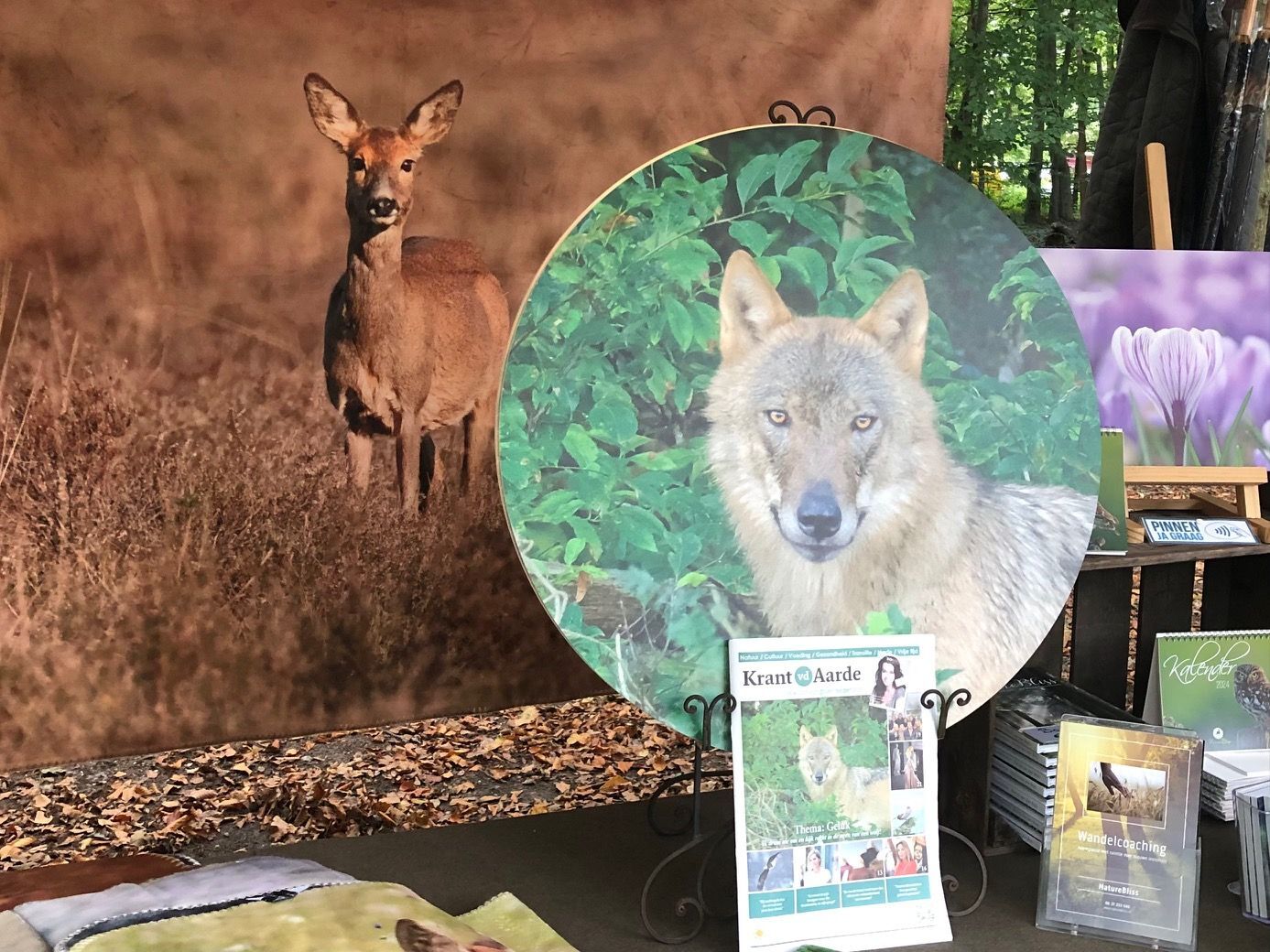 Wandcirkel Oog in Oog met de Wolf