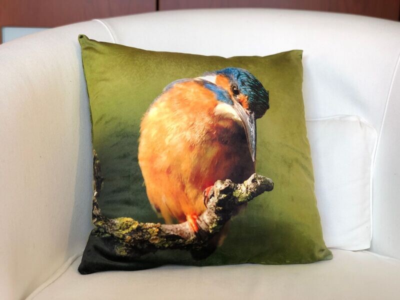 Sierkussen IJsvogel Goud