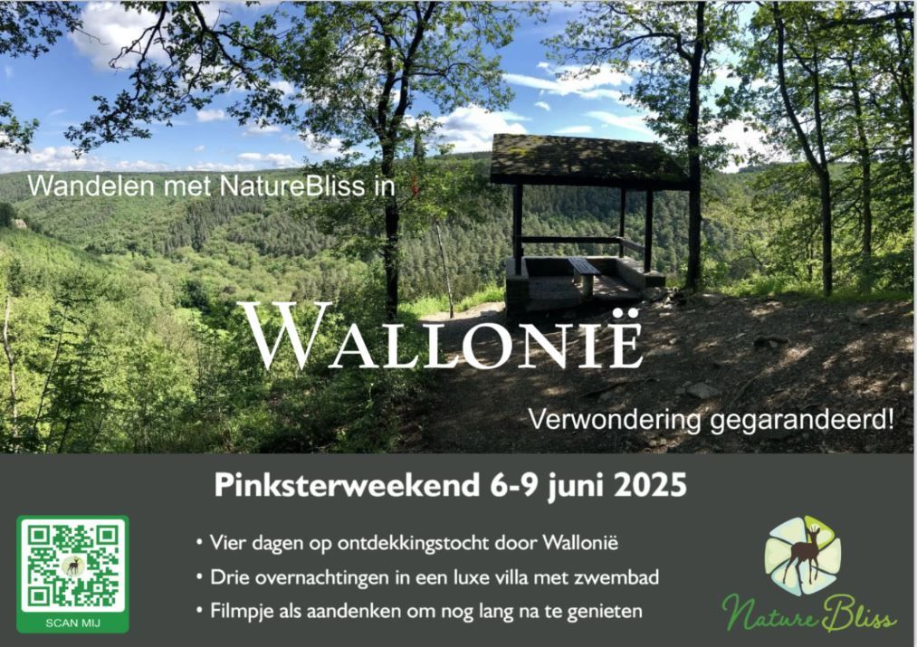 Pinksterweekend in Wallonië van 6-9 juni 2025