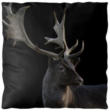 Sierkussen Zwart Damhert Sierkussen Zwart Damhert