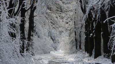 Winter Wonderland Winter Wonderland