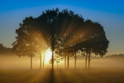 Magical Sunrise