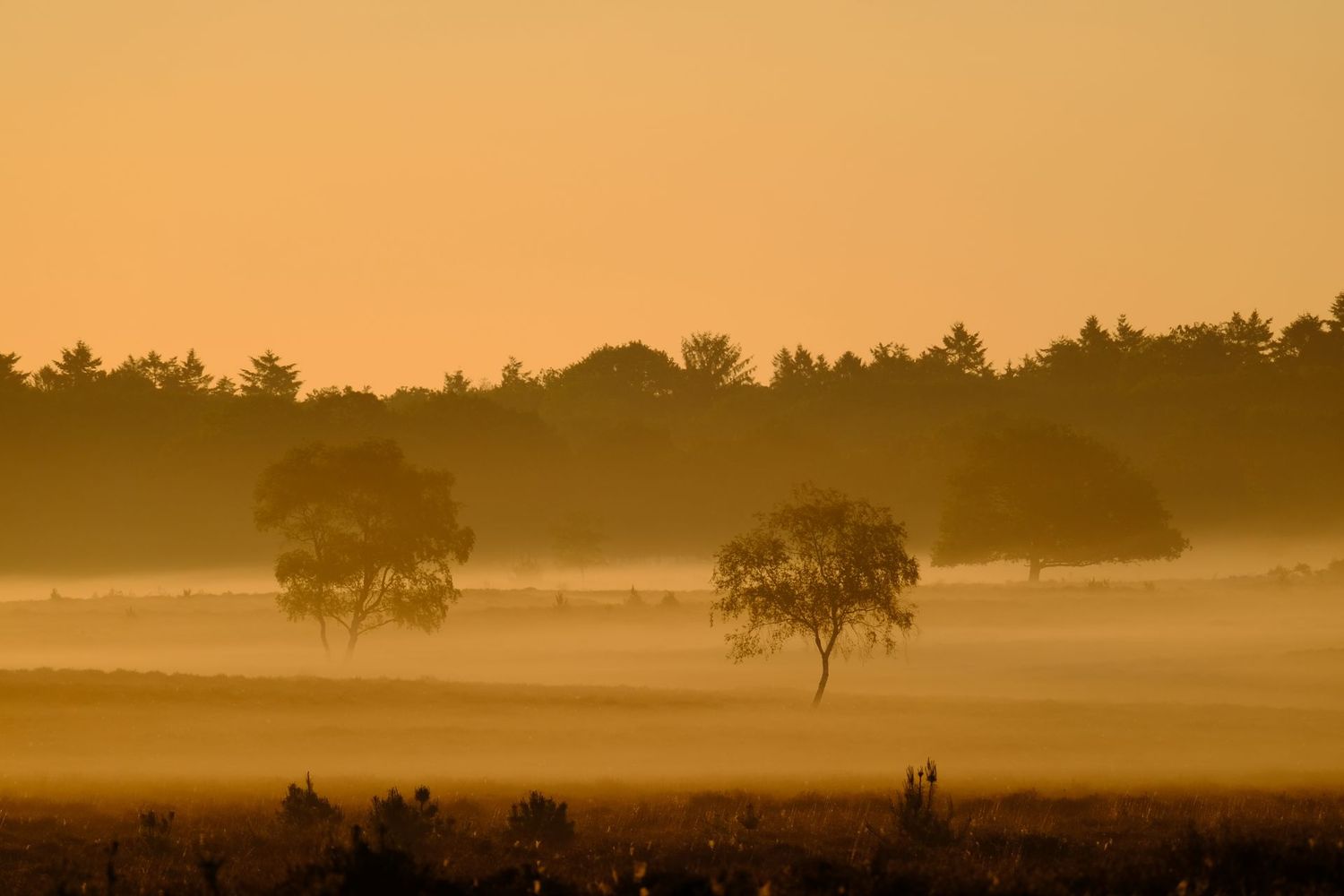 Magical Sunrise