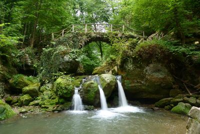 Schiessentümpel Luxemburg Schiessentümpel Luxemburg